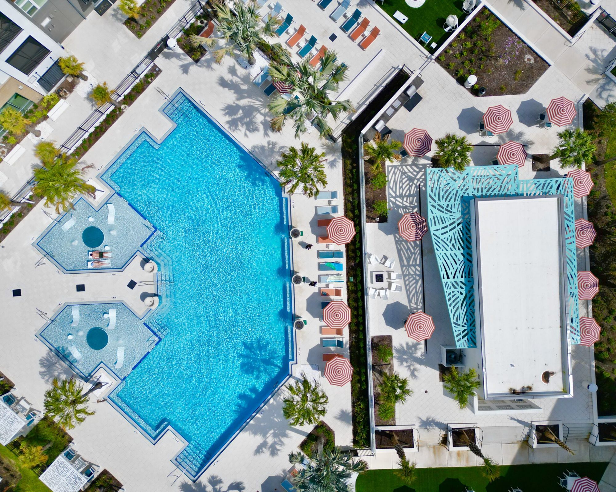 Aerial of the zero entry pool surrounded by lounge chairs and foliage at The Lucent at Sunrise Apartments