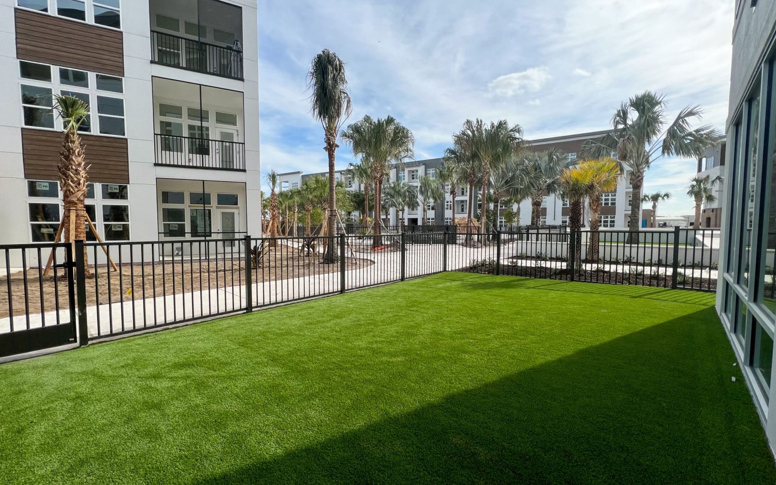 The Lucent at Sunset outdoor dog park with palm trees and grassy lawn