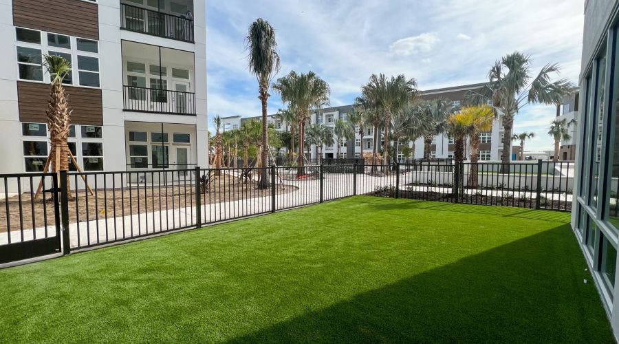 The Lucent at Sunset outdoor dog park with palm trees and grassy lawn