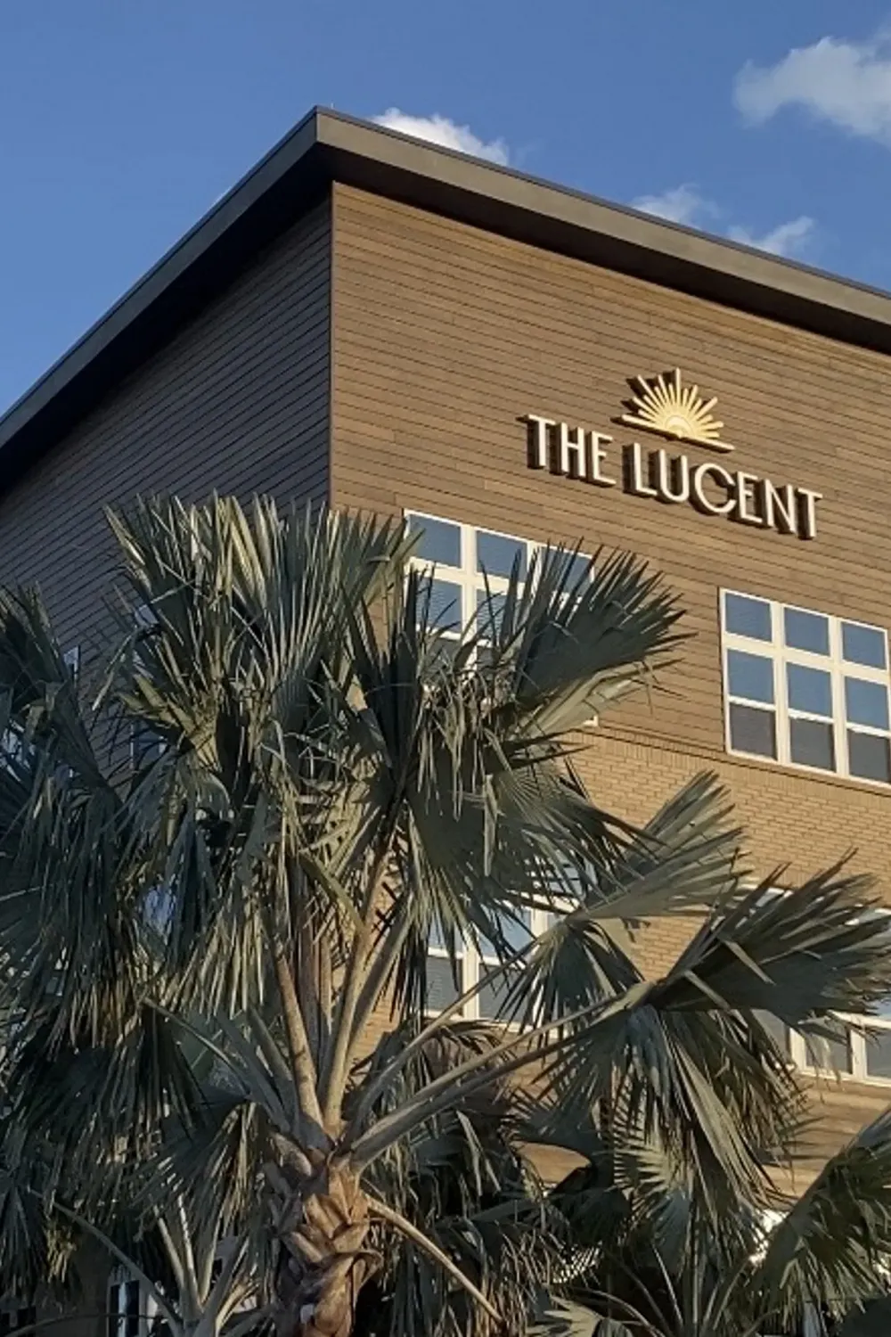 Lazy river surrounded by palm trees at The Lucent at Sunrise Apartments