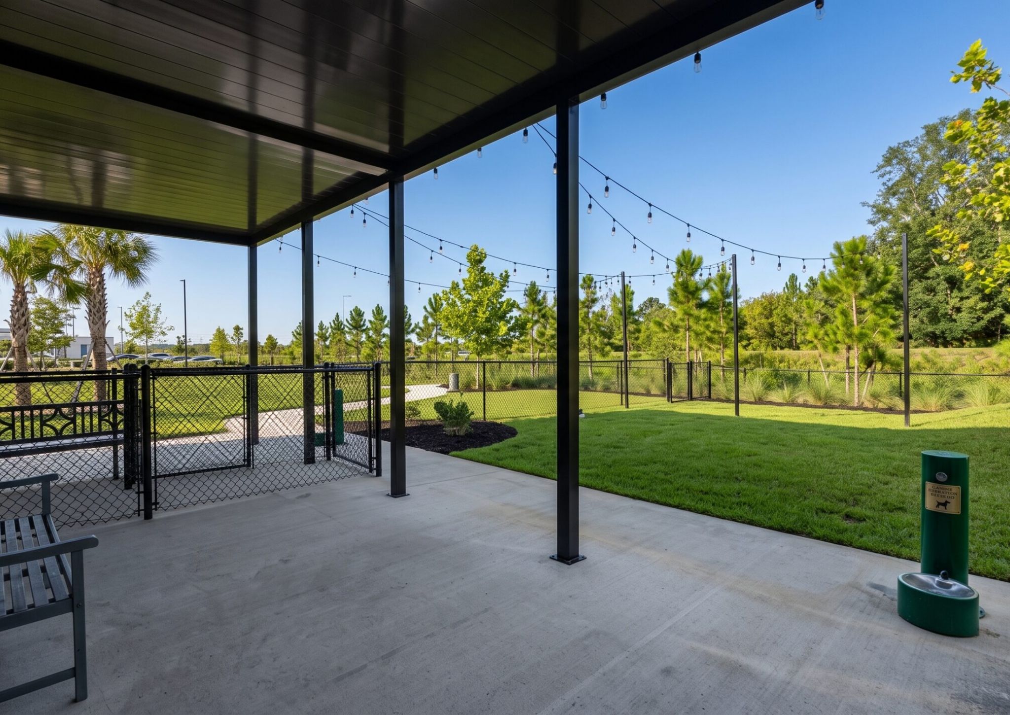 The Lucent at Sunset outdoor dog park with palm trees and grassy lawn