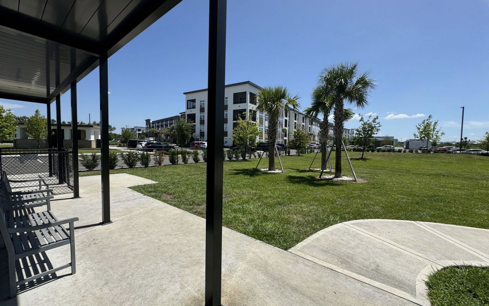 A sunny day view of a residential building with palm trees and a grassy area, seen from under a shaded structure.