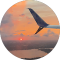 google profile photo