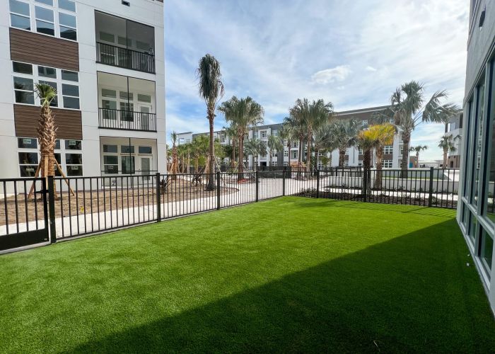 The Lucent at Sunset outdoor dog park with palm trees and grassy lawn
